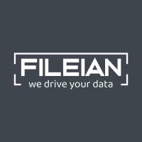 Fileian Ventures Private Limited Logo