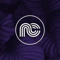 NET CONCEPT Logo
