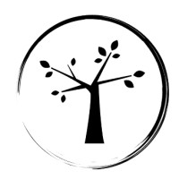 Precision Audio Services Logo