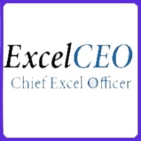 ExcelCEO Logo