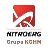 NITROERG S.A. Logo