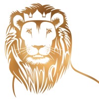 Anothen Australia Business Solutions Logo