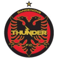 Dandenong Thunder Football Club Logo