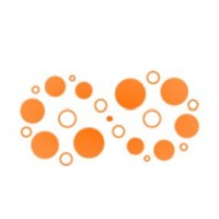 The Sovereignty Network Logo