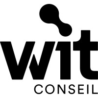 Wise IT Conseil Logo