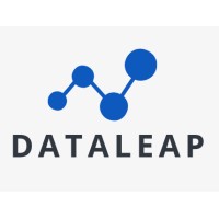 DataLeap Logo