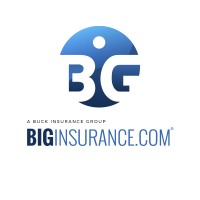 Biginsurance.com Logo
