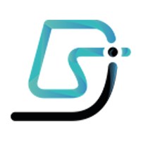 DSI France Logo