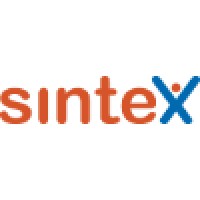 Sintex Servizi Logo
