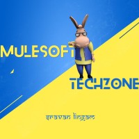 MuleSoft TechZone Logo