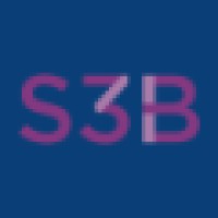 S3B Consulting, LLC Logo
