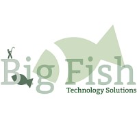 Big Fish Technology Solutions Logo