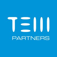 TEM PARTNERS Logo