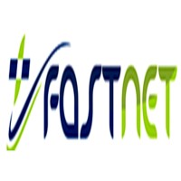 FSI Inc. Logo