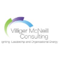 Villiger McNeill Consulting Logo