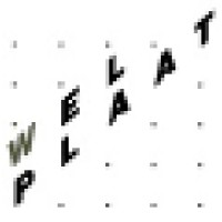 SWS De Welplaat Logo