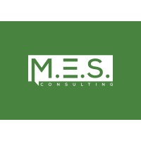 MES Consulting LLC Logo