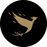 Elirius Logo