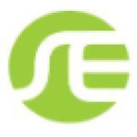 Successful Executive Logo