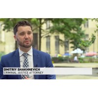 The Law Firm of Dmitriy Shakhnevich Logo