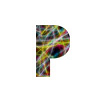 The company P Logo