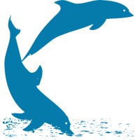 Blizzard Srl Logo