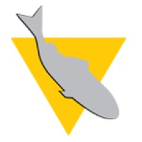VAKI Logo