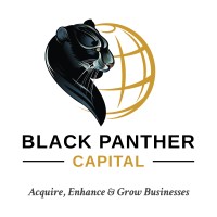 Black Panther Capital Ltd Logo