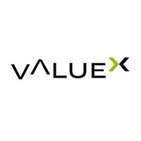 VALUEX WEALTH CONNECT LLP Logo