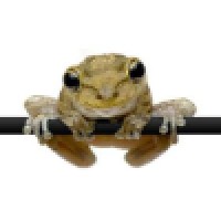 Bruce Marshall & Co Logo