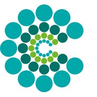 Circuthon Consulting Logo