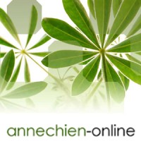Annechien-online Logo