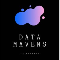 Data Mavens Ltd Logo