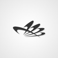 Dataservis Logo
