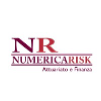 Numerica Risk Logo