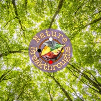 Nature Breakthroughs LLC Logo