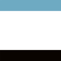 BIANCHIZARDIN Logo