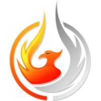 FNX Solutions Kft. Logo