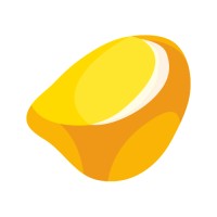 EsseSystems Logo