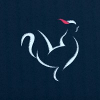Agência GalloNew Logo