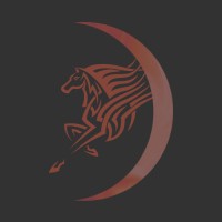 Darkhorse Business Systems Logo