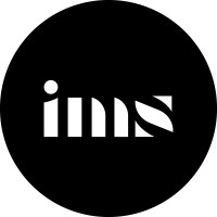 Immersive Strategies Logo