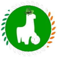 Football Irlandais Logo
