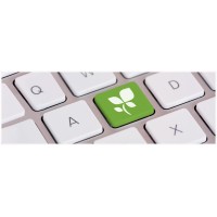 Intelligent Business Solutions (IntelBS) Logo