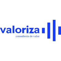 Valoriza Brasil Gestão Empresarial Logo