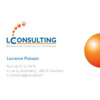 L.Consulting Formations, Bilans de compétences et Conseils RH Logo