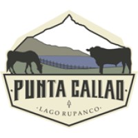 Punta Callao Logo