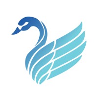 Celtic Dynamics Logo