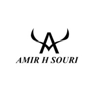 AMIRHSOURI CONSULTANTS Logo