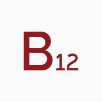 B12 for Digital Services Logo